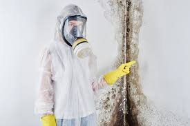 Best Residential Mold Inspection & Testing  in Highlands, TX